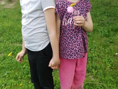 Koťata, příoda, včely