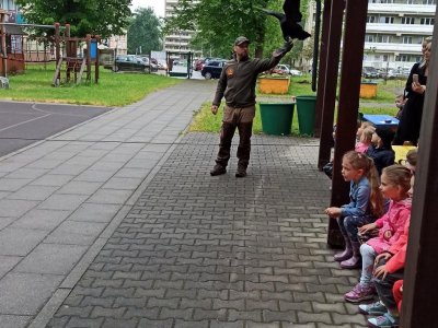 DRAVCI na naší zahradě MŠ