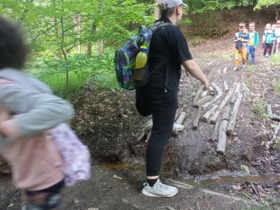 KOŤATA V ČERNÉM LESE