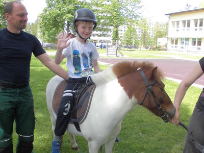 Koťata a koník Kaštánek